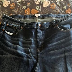 Molly & Isadore size 24. Dark wash. Super stretchy.
